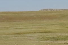 20220809_161120-scaled