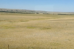 20220809_161452-scaled