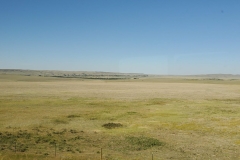 20220809_161500-scaled