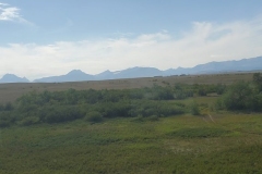 20220809_164651-scaled